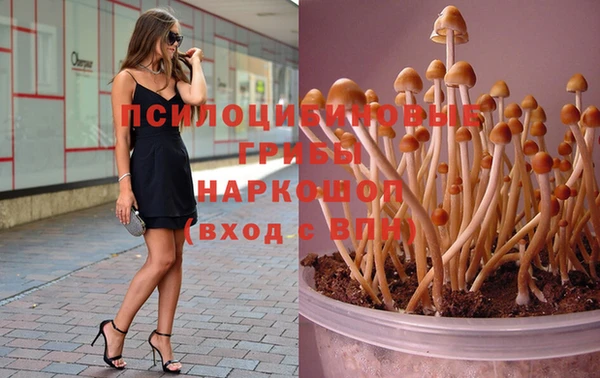 мяу мяу мука Алексин