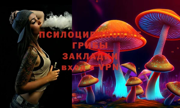 трава Абаза