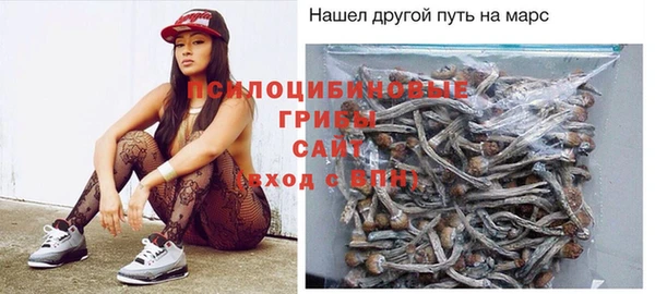 мяу мяу мука Алексин