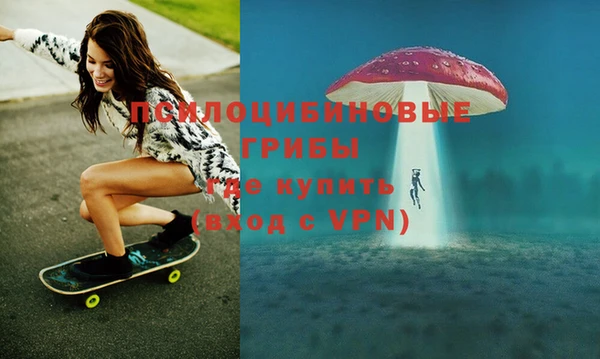 мяу мяу мука Алексин