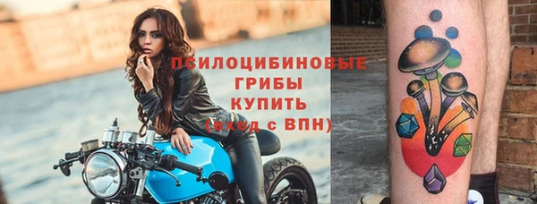 мяу мяу мука Алексин
