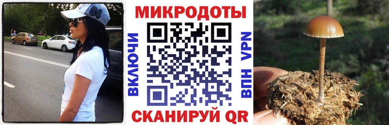 что такое наркотик  OMG маркетплейс  Галлюциногенные грибы Psilocybine cubensis  Челябинск 